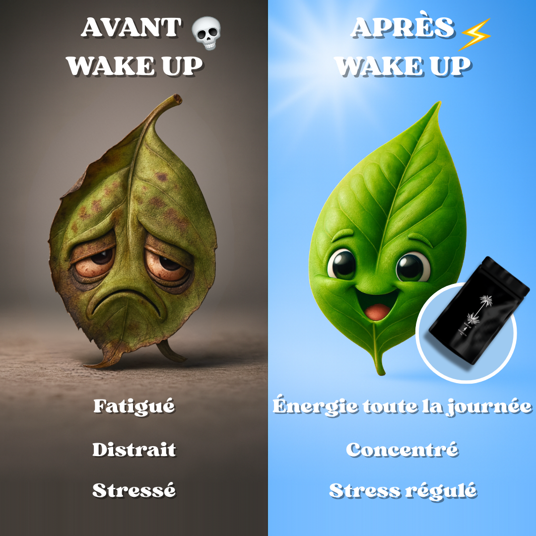 Wake Up, Ihr natürlich belebender Tee